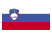 Slovenia Diplomatic Visa - Expedited Visa Services